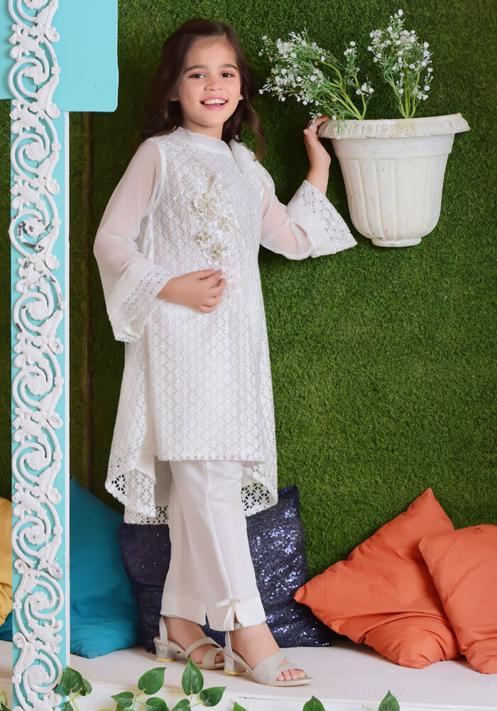 Komal's White Shimmer Net with Applique Embroidered