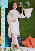 Komal's White Shimmer Net with Applique Embroidered