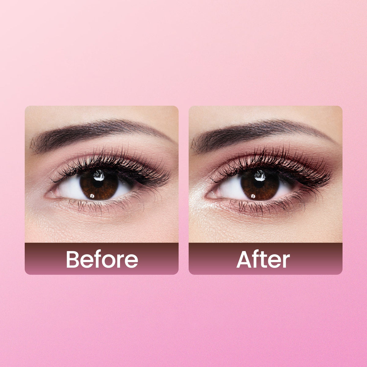 Dual Passport Face & Eye Palette