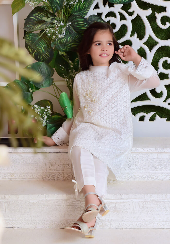 Komal's White Shimmer Net with Applique Embroidered