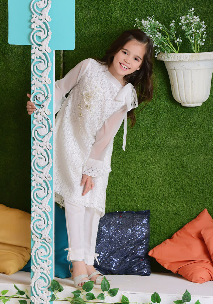Komal's White Shimmer Net with Applique Embroidered