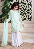 Komal's Mint Chiffon Fully Embroidered with Lining Inside - 3PC Suit