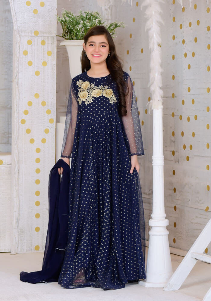 Komal's Navy Blue Gold Foil Net with Applique Embroidered