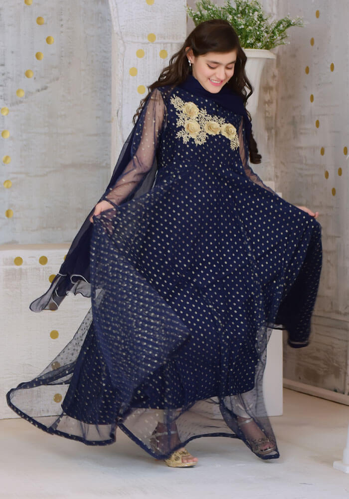 Komal's Navy Blue Gold Foil Net with Applique Embroidered