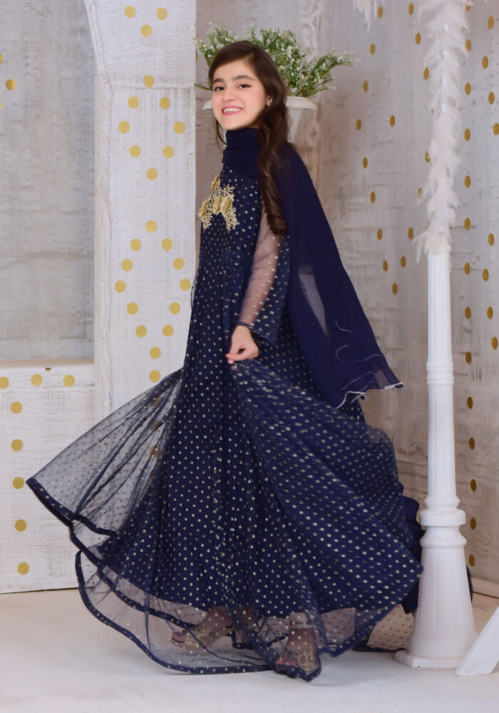 Komal's Navy Blue Gold Foil Net with Applique Embroidered