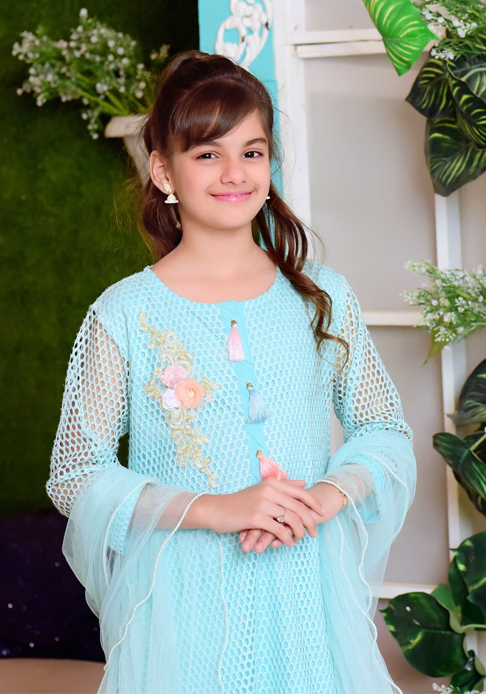 Komal's Mint Green Net with Applique Embroidered - 3PC Suit