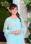 Komal's Mint Green Net with Applique Embroidered - 3PC Suit