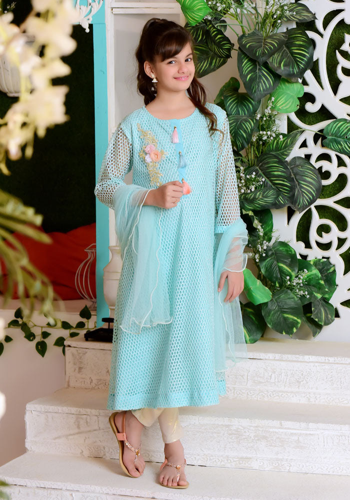 Komal's Mint Green Net with Applique Embroidered - 3PC Suit